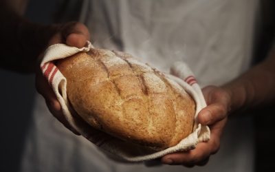 shutterstock_198572078